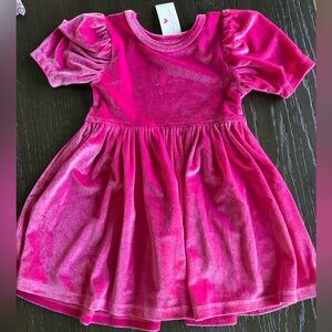 Pink Chicken Velvet Dress